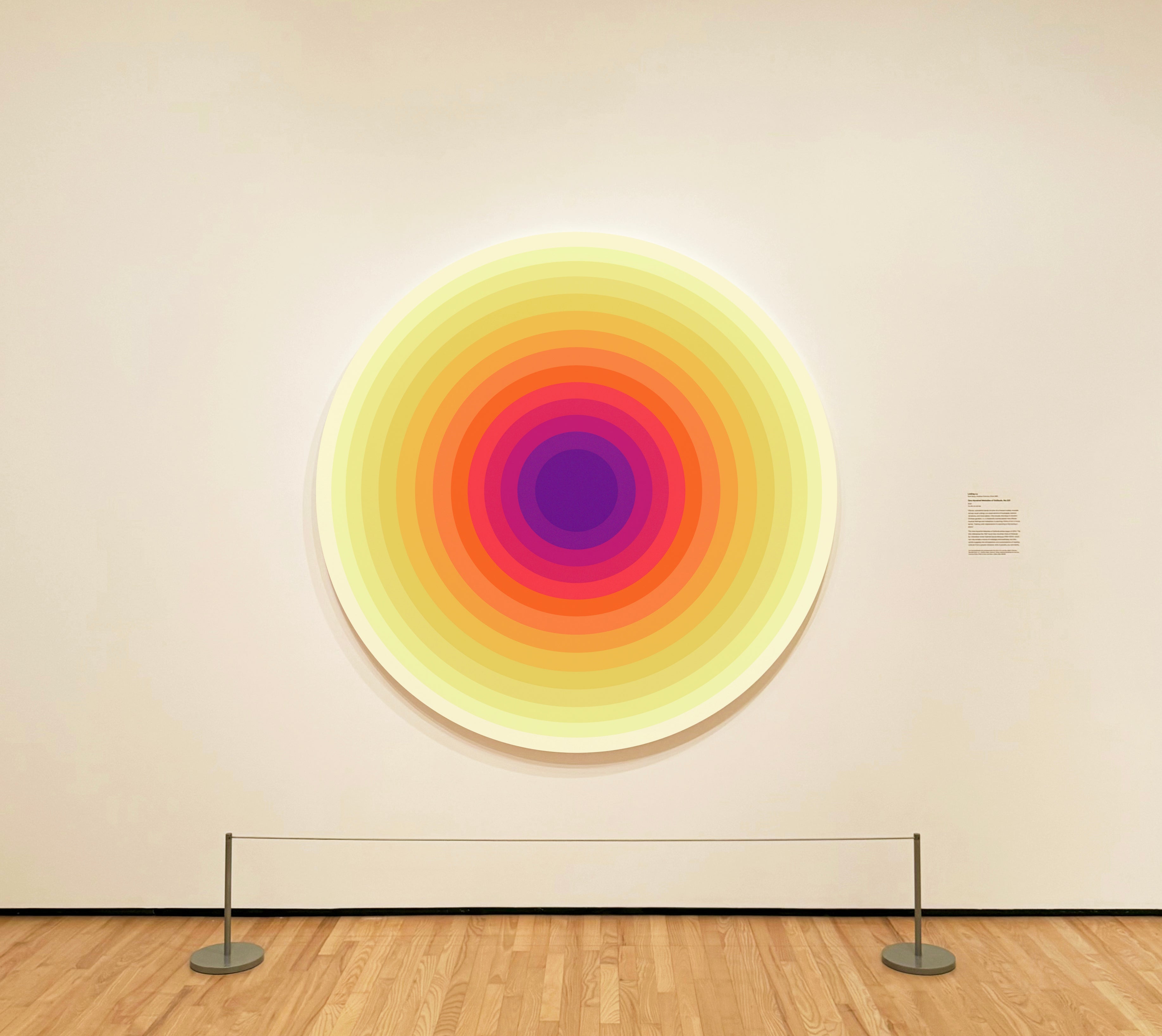 Linling Lu: One Hundred Melodies of Solitude, No.222 Installed at The Baltimore Museum of Art